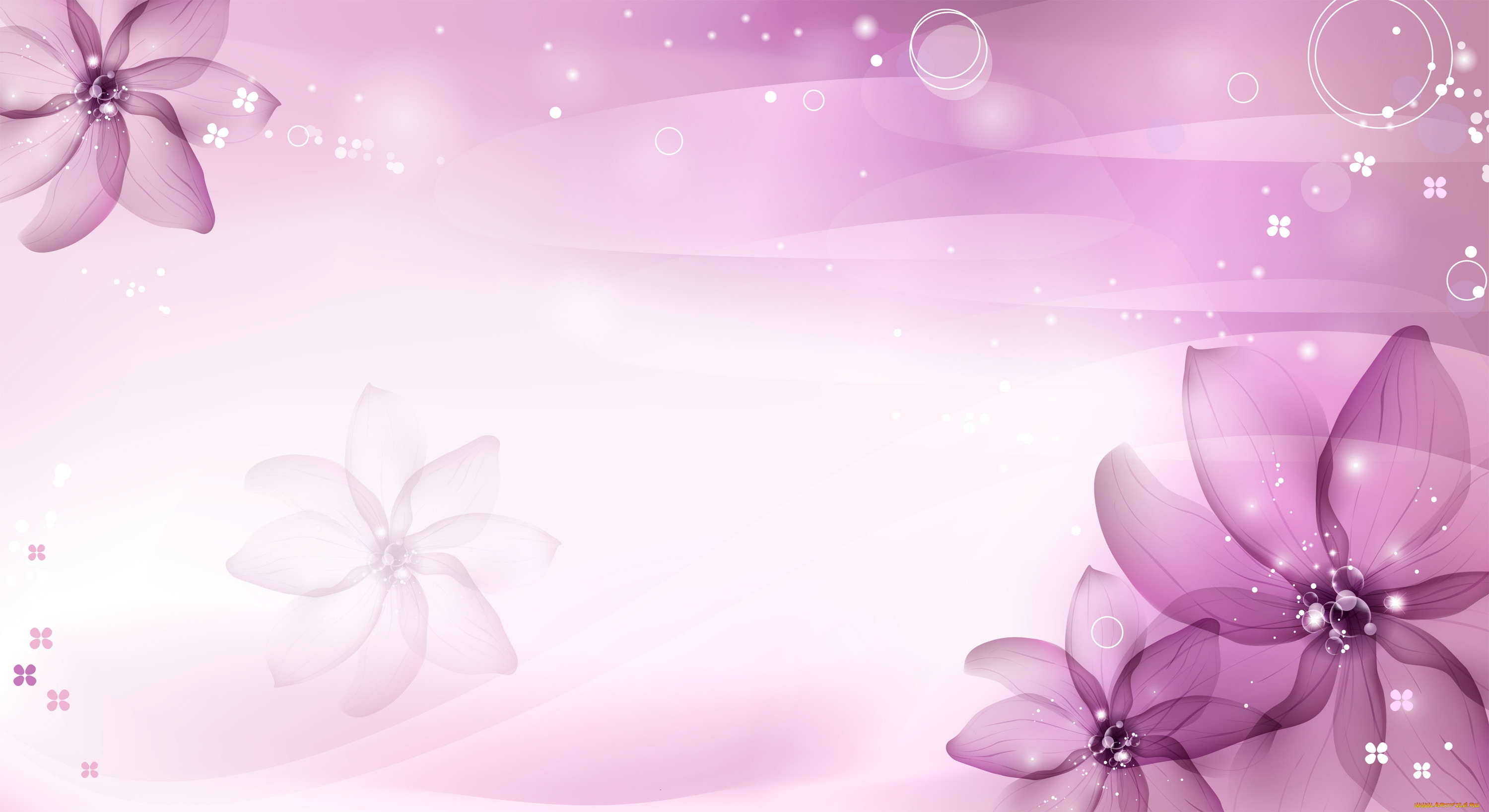  ,  , flowers, , 